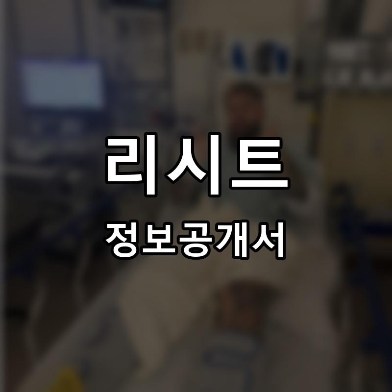 리시트 프랜차이즈 정보공개서
