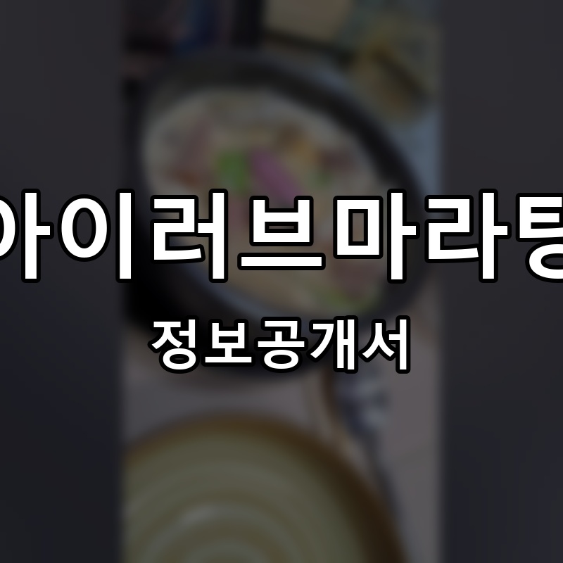 아이러브마라탕 프랜차이즈 정보공개서