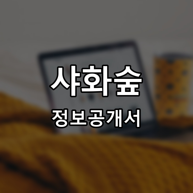 소담은 프랜차이즈 정보공개서