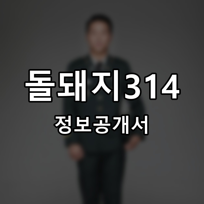 돌돼지314 프랜차이즈 정보공개서 요약