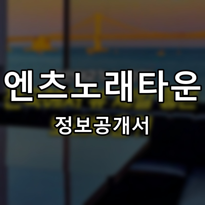 엔츠노래타운 프랜차이즈 정보공개서 요약