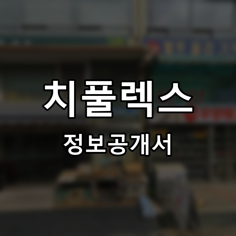 치풀렉스 프랜차이즈 정보공개서 요약