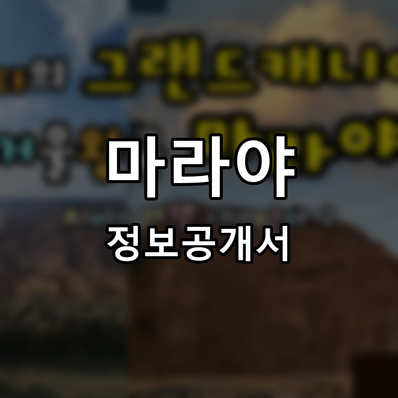 마라야 프랜차이즈 정보공개서 요약