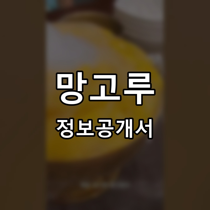 망고루 프랜차이즈 정보공개서 요약