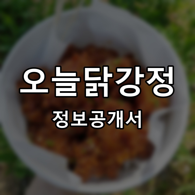 오늘닭강정 프랜차이즈 정보공개서 요약