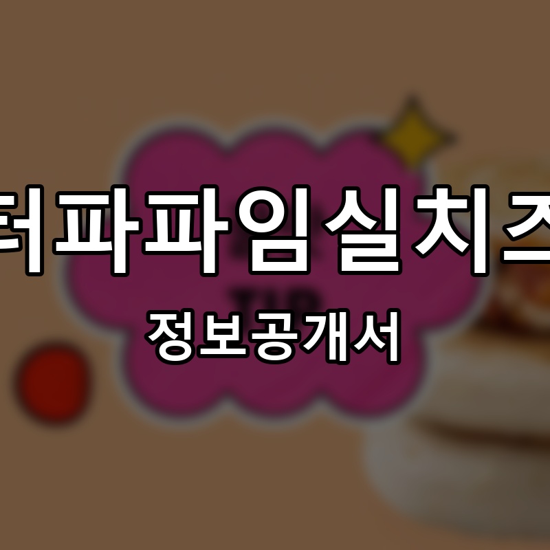 미스터파파임실치즈피자 프랜차이즈 정보공개서 요약