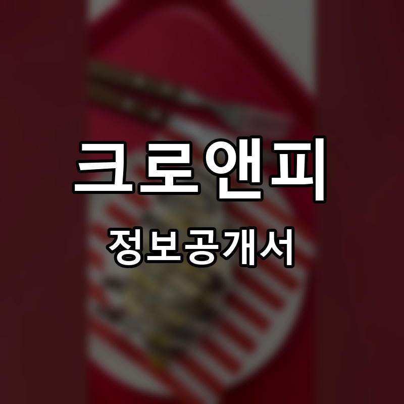 크로앤피 프랜차이즈 정보공개서 요약