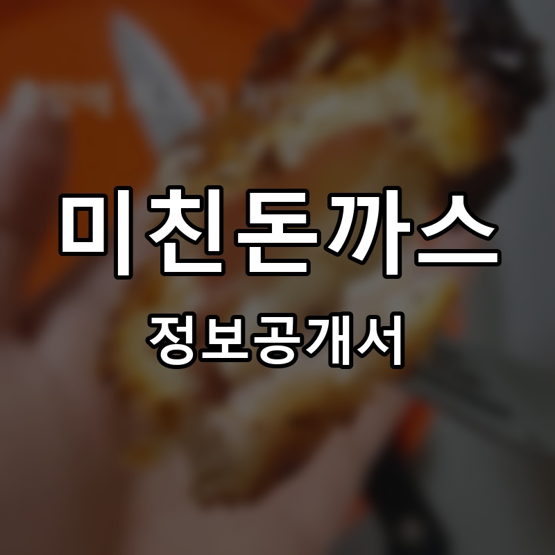 미친돈까스 프랜차이즈 정보공개서 요약