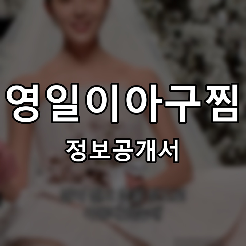 영일이아구찜 프랜차이즈 정보공개서 요약