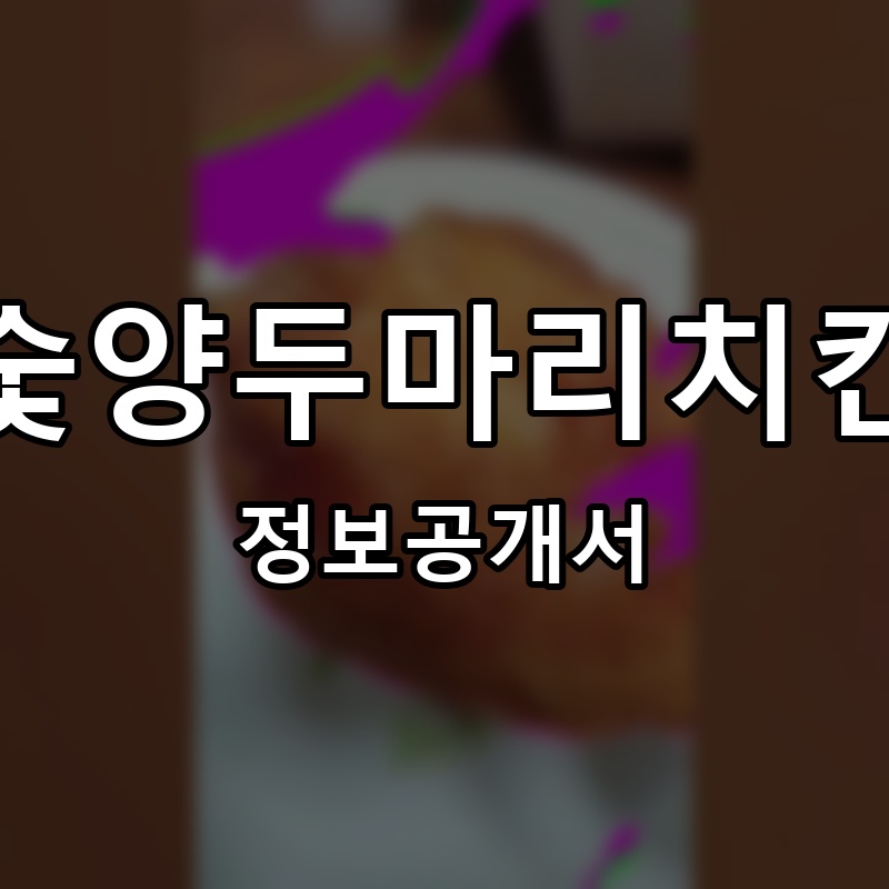 숯양두마리치킨 프랜차이즈 정보공개서 요약