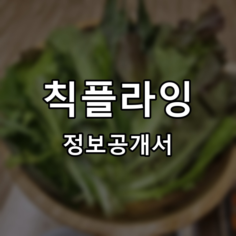 먹구먹구찜닭 프랜차이즈 정보공개서 요약