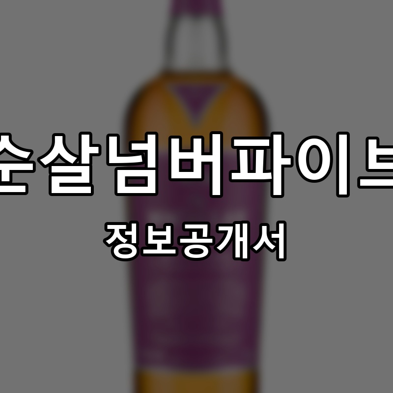 순살넘버파이브 프랜차이즈 정보공개서 요약