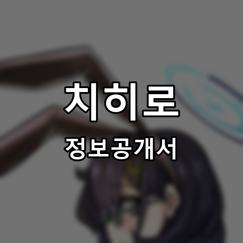 치히로 프랜차이즈 정보공개서 요약