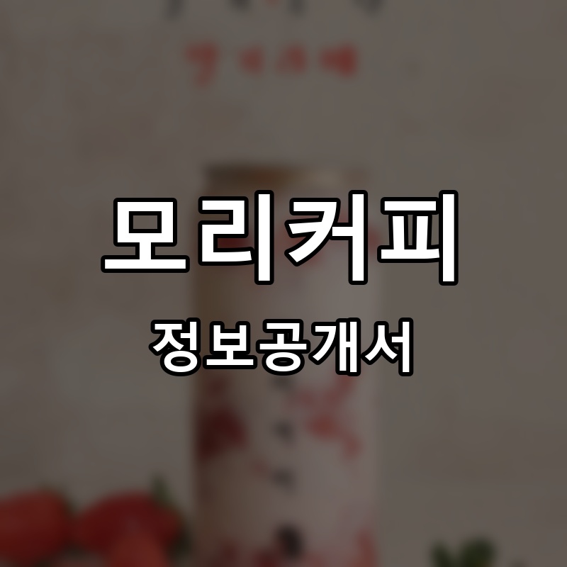 모리커피 프랜차이즈 정보공개서 요약