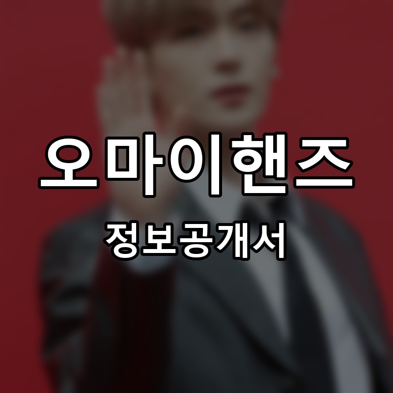 오마이핸즈 프랜차이즈 정보공개서 요약