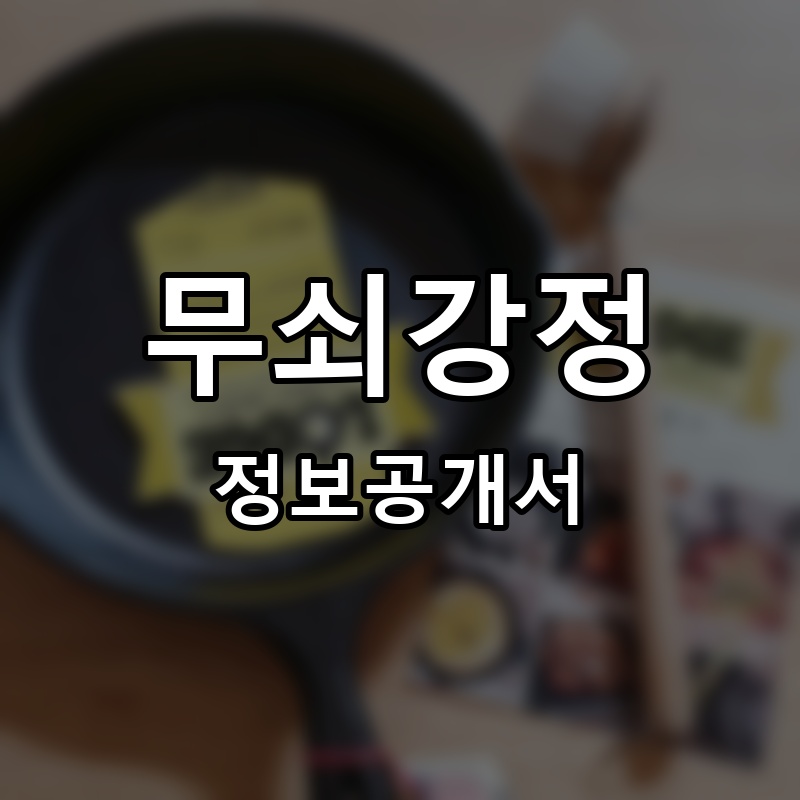 무쇠강정 프랜차이즈 정보공개서 요약