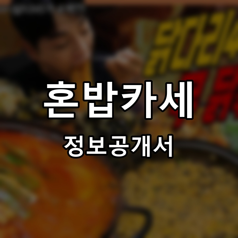 아낌없이주는닭도리탕 프랜차이즈 정보공개서