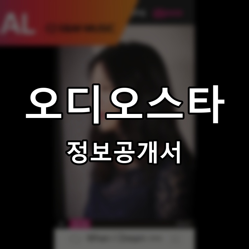 오디오스타 프랜차이즈 정보공개서