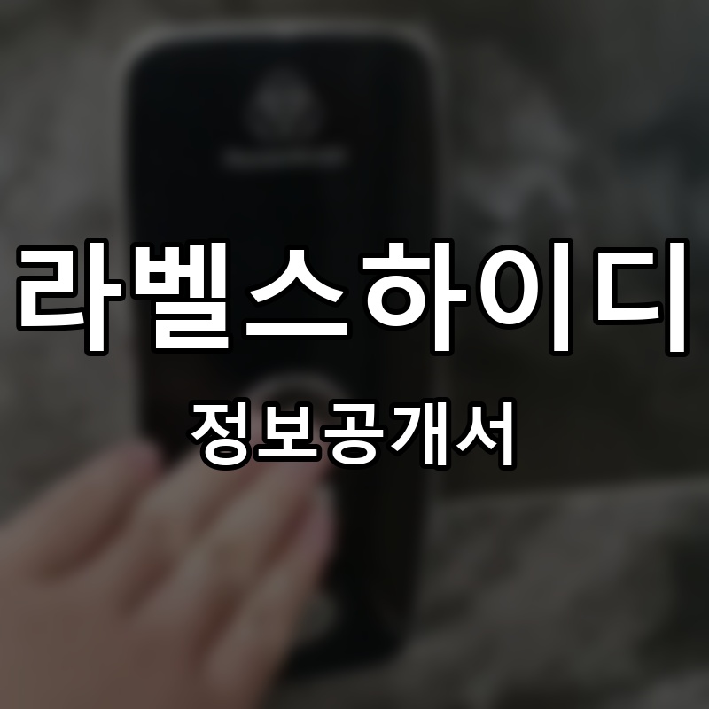 라벨스하이디 프랜차이즈 정보공개서