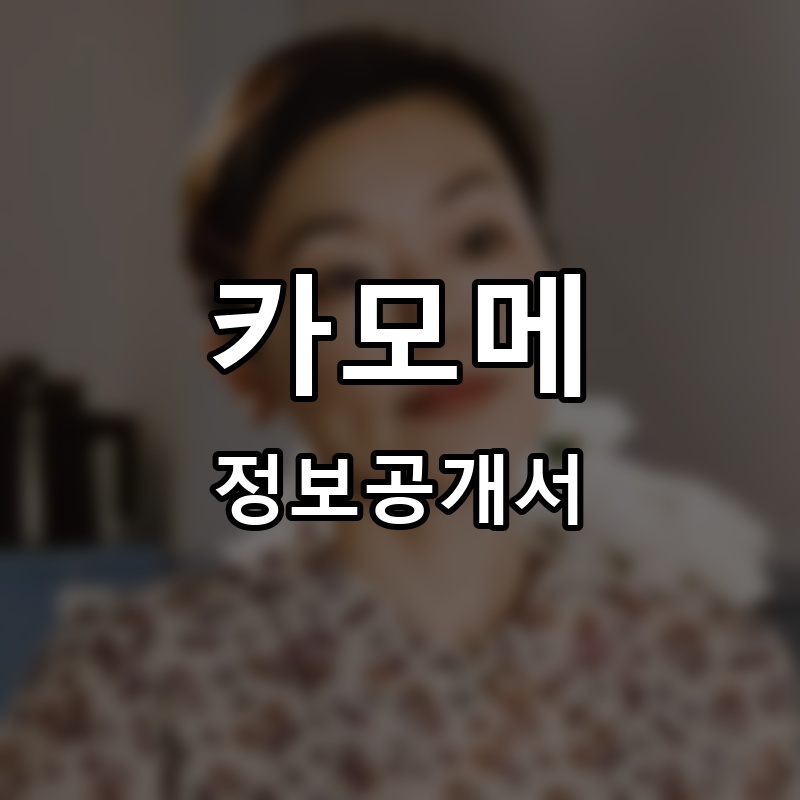 카모메 프랜차이즈 정보공개서
