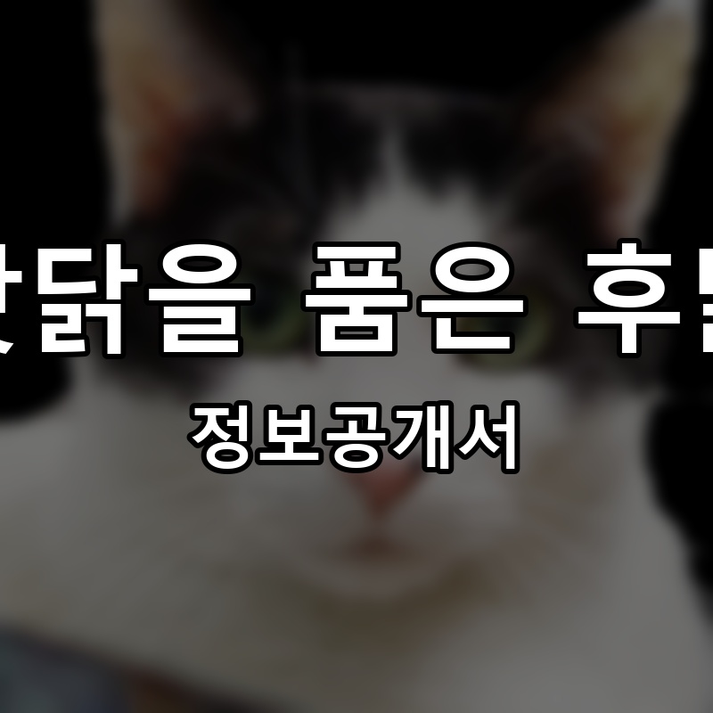 맛닭을 품은 후닭 프랜차이즈 정보공개서