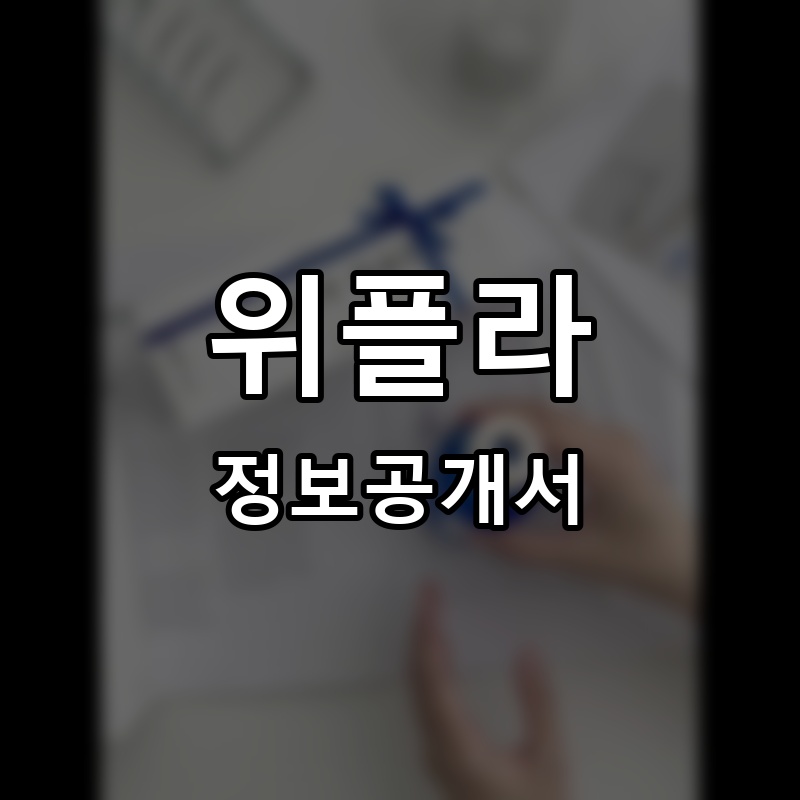 위플라 프랜차이즈 정보공개서
