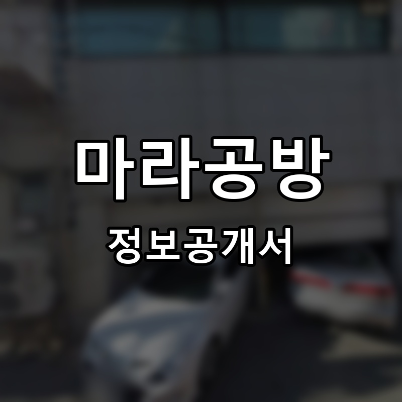 마라공방 프랜차이즈 정보공개서