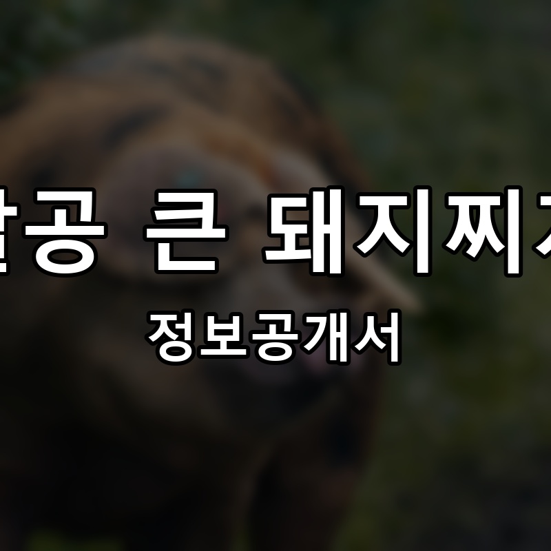 팔공 큰 돼지찌개 프랜차이즈 정보공개서 요약