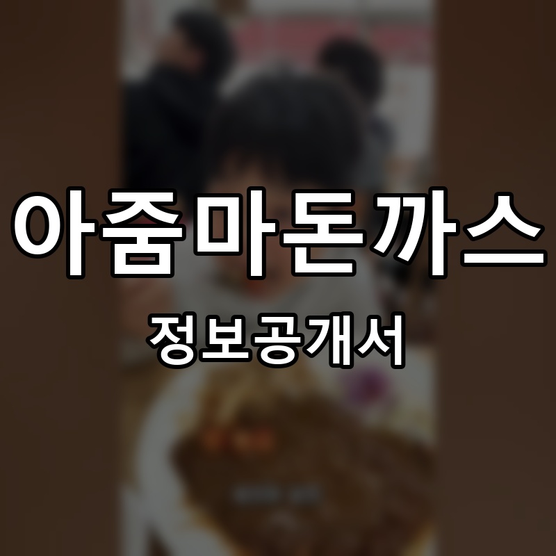 아줌마돈까스 프랜차이즈 정보공개서 요약