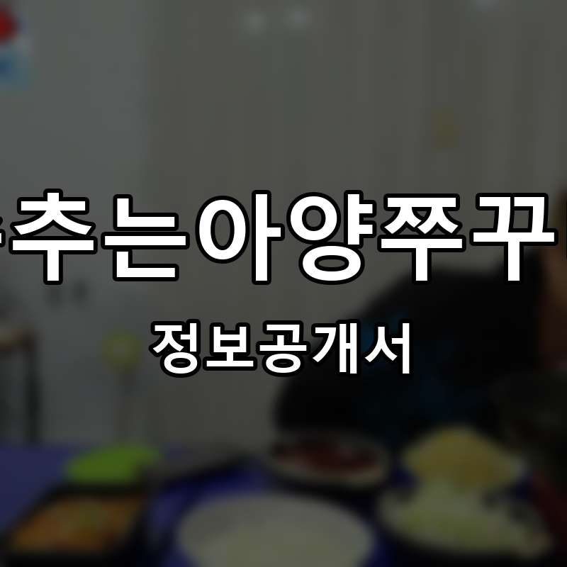 춤추는아양쭈꾸미 프랜차이즈 정보공개서 요약