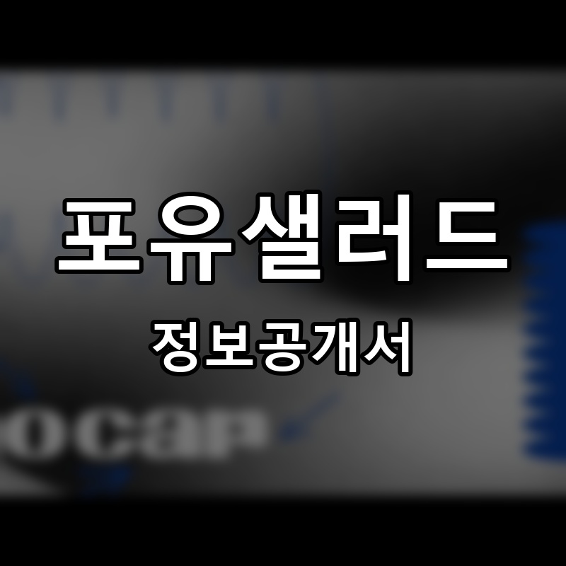 포유샐러드 프랜차이즈 정보공개서 요약