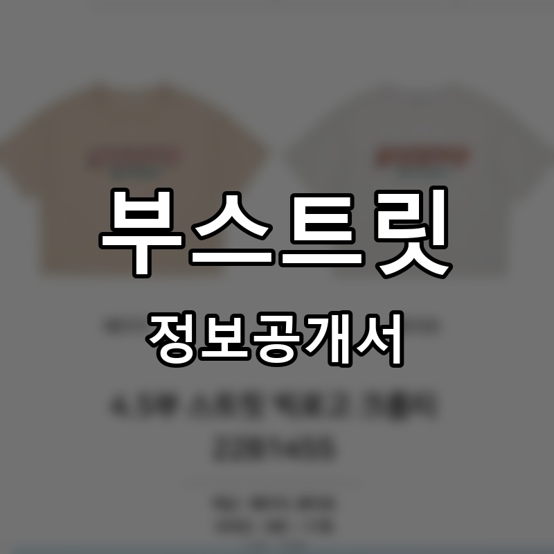 부스트릿(BOOSTREET) 프랜차이즈 정보공개서 요약