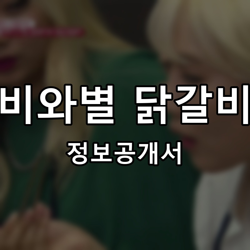 비와별 닭갈비 프랜차이즈 정보공개서 요약