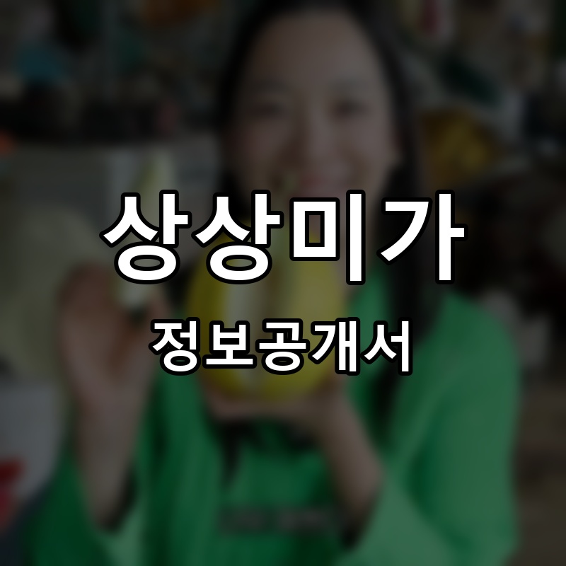 하미가 프랜차이즈 정보공개서