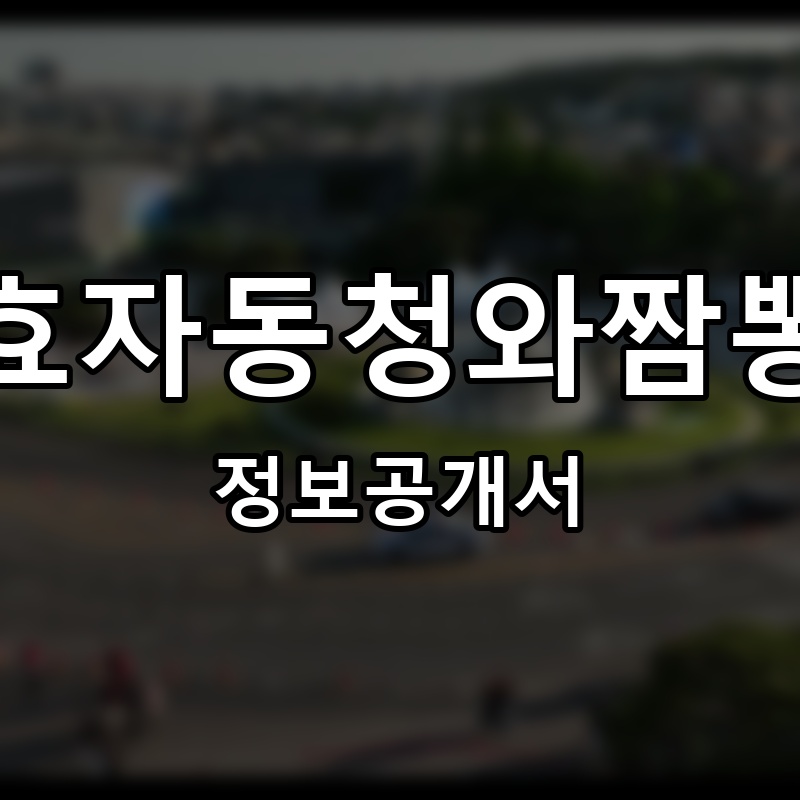 효자동청와짬뽕 프랜차이즈 정보공개서