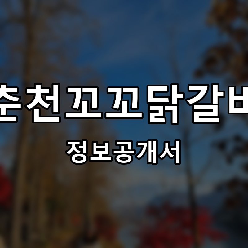 춘천꼬꼬닭갈비 프랜차이즈 정보공개서
