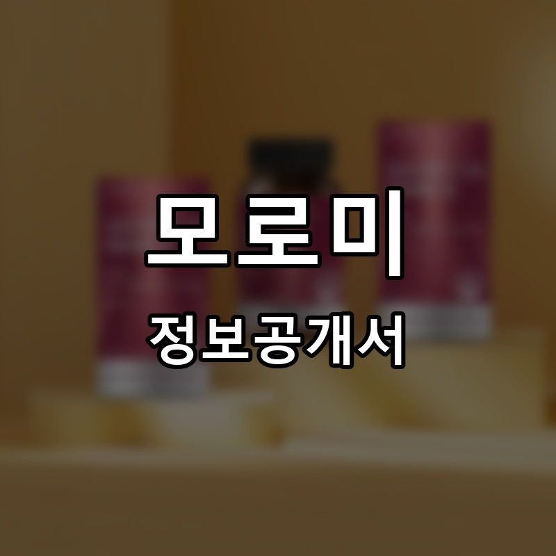 모로미 프랜차이즈 정보공개서