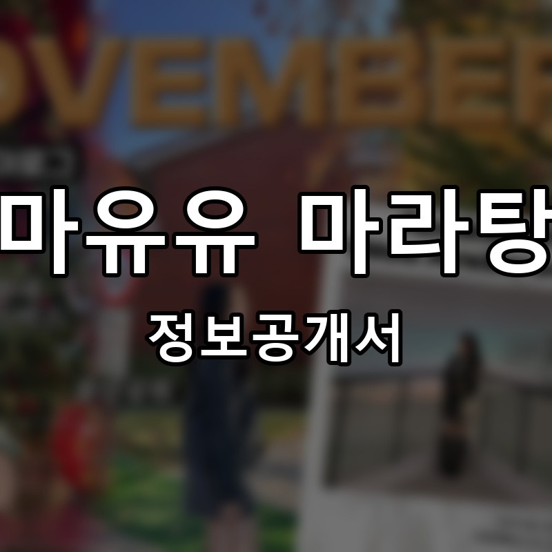 마유유 마라탕 프랜차이즈 정보공개서