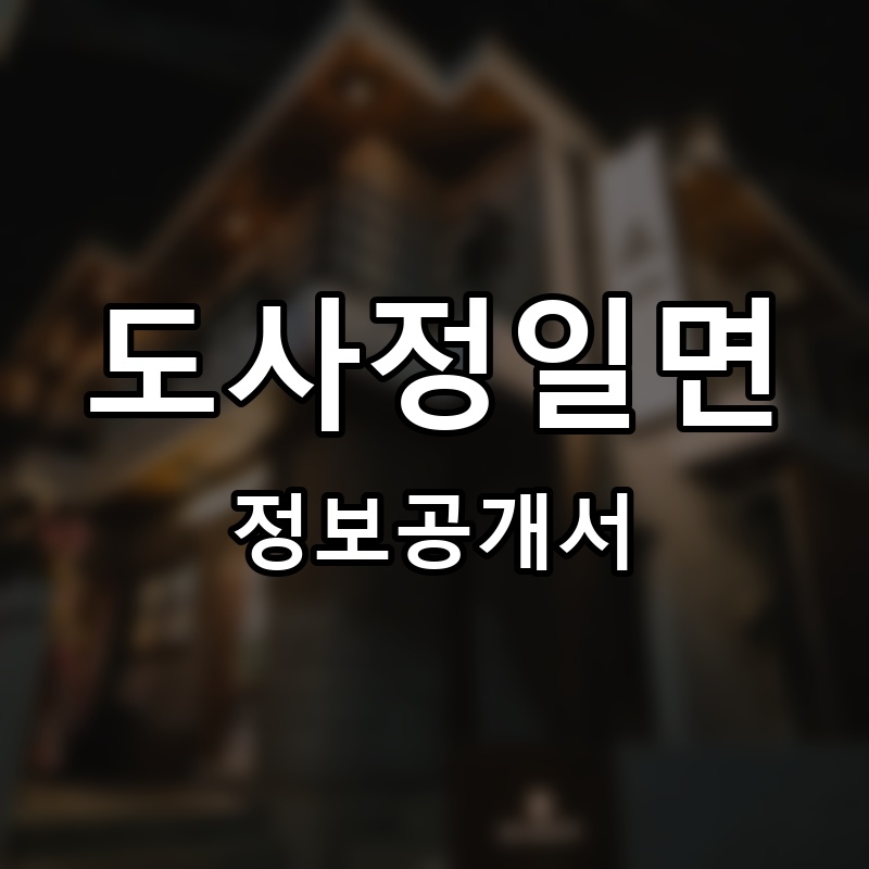 정일면 프랜차이즈 정보공개서 요약