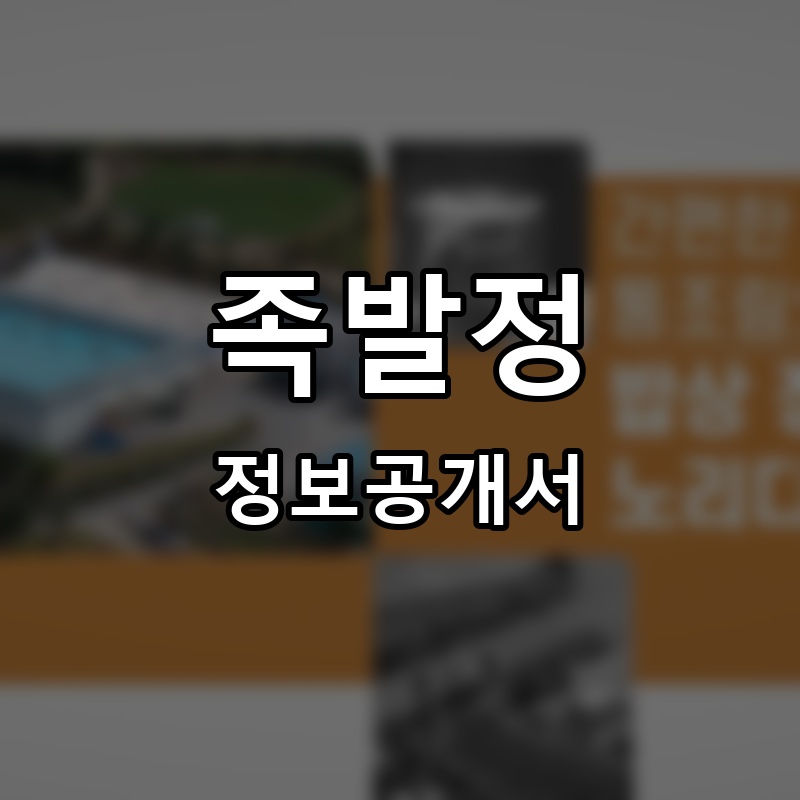 족발정 프랜차이즈 정보공개서 요약