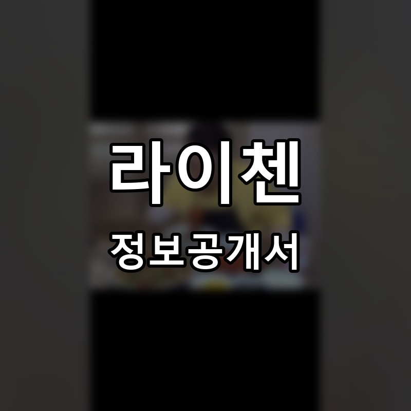 라이첸 프랜차이즈 정보공개서 요약