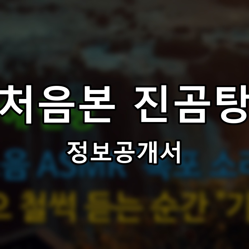 처음본 진곰탕 프랜차이즈 정보공개서 요약