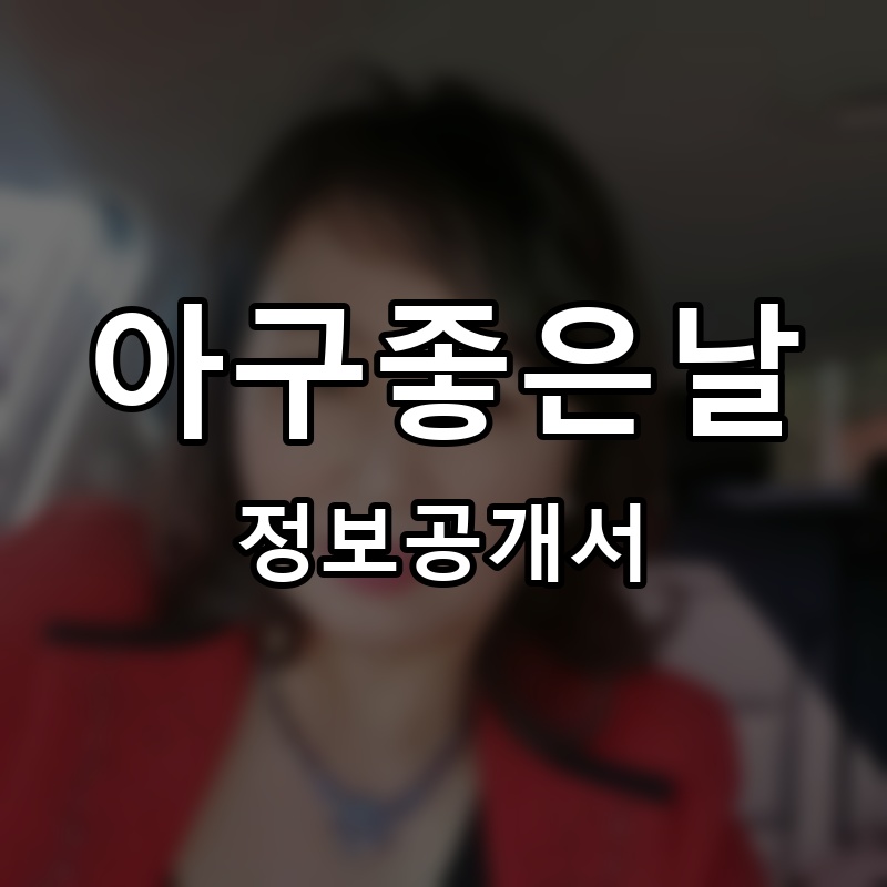 아구좋은날 프랜차이즈 정보공개서 요약