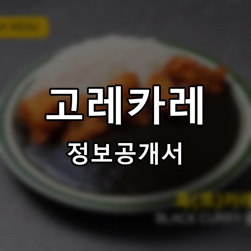 고레카레 프랜차이즈 정보공개서 요약