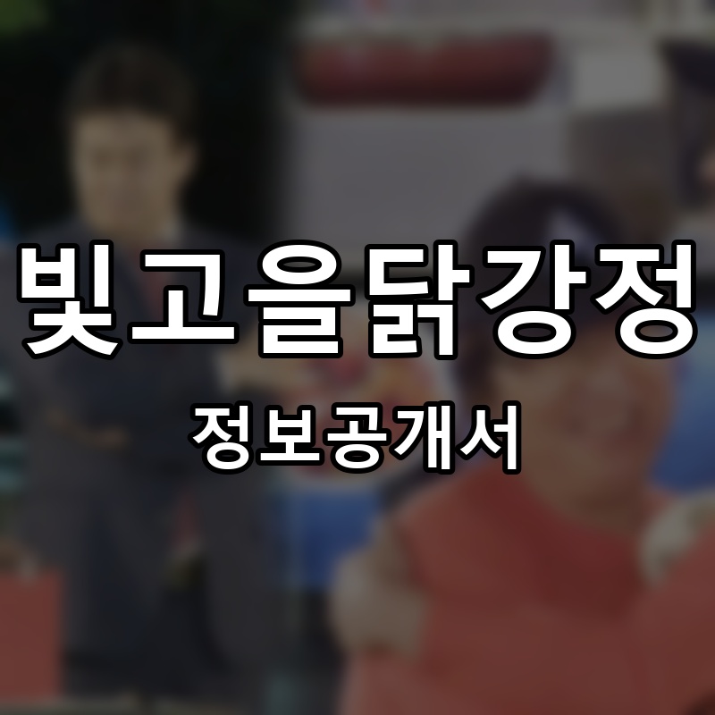 빛고을닭강정 프랜차이즈 정보공개서 요약