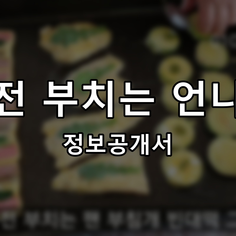 전 부치는 언니 프랜차이즈 정보공개서 요약