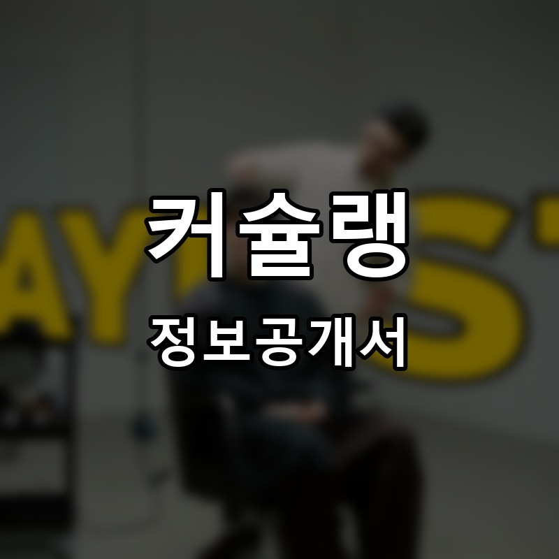 커슐랭 프랜차이즈 정보공개서 요약