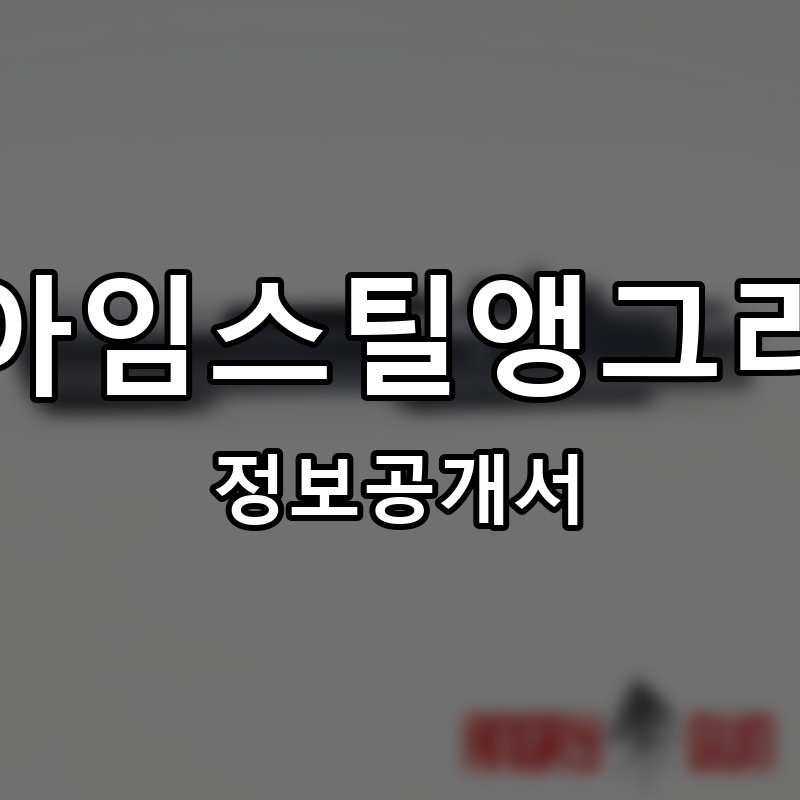 아임스틸앵그리(I’m Still Angry) 프랜차이즈 정보공개서 요약