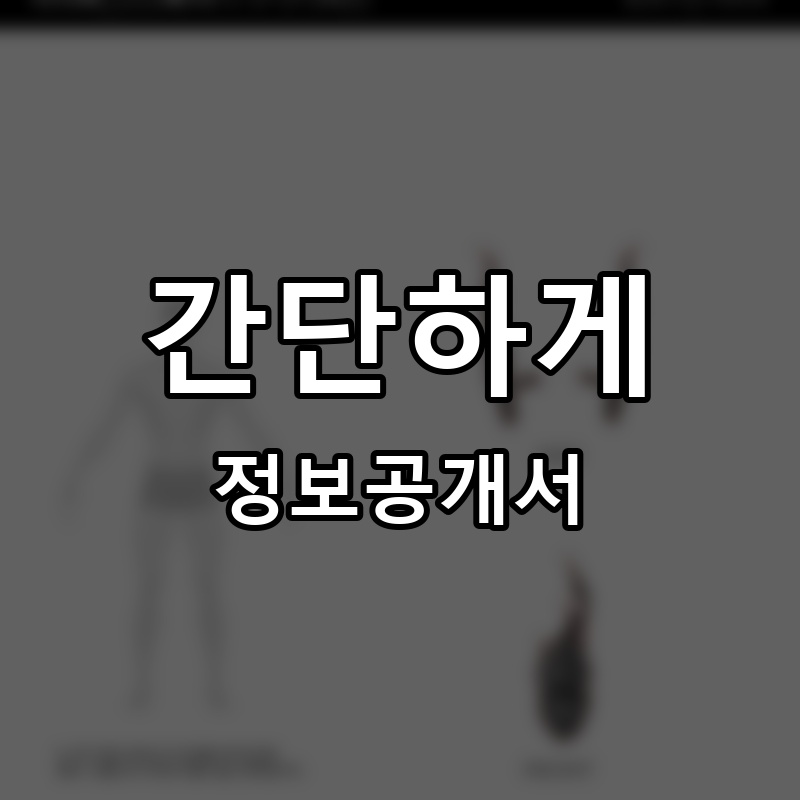 간단하게 프랜차이즈 정보공개서