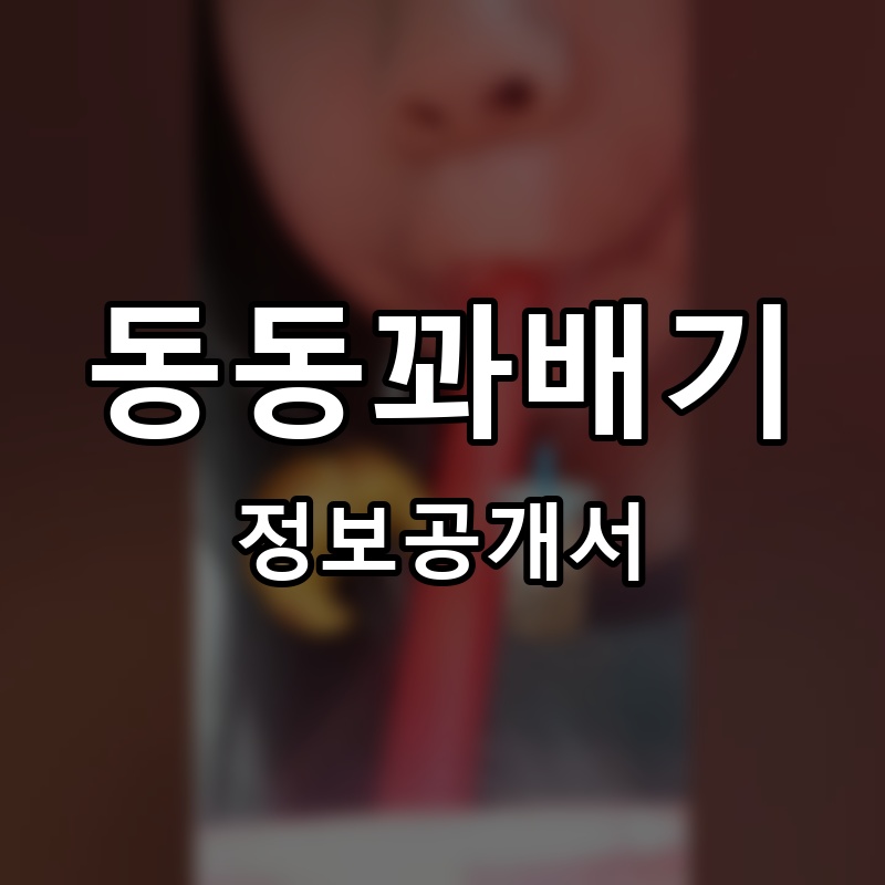 동동꽈배기 프랜차이즈 정보공개서